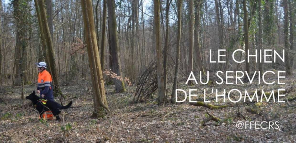 Création de la FFECRS